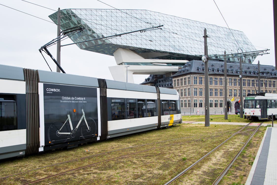 Cowboy Superside10m2 114