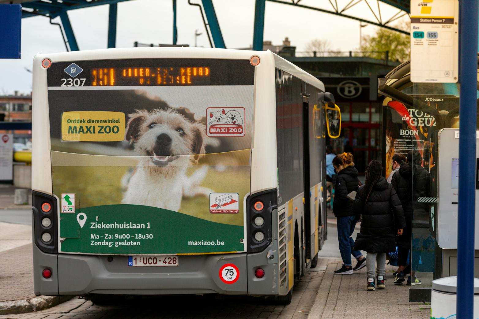 Bus Maxi Zoo Full back