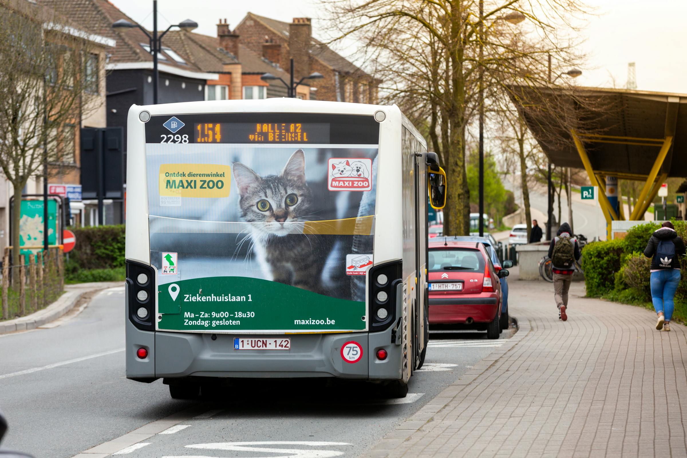 Bus Maxi Zoo Full back