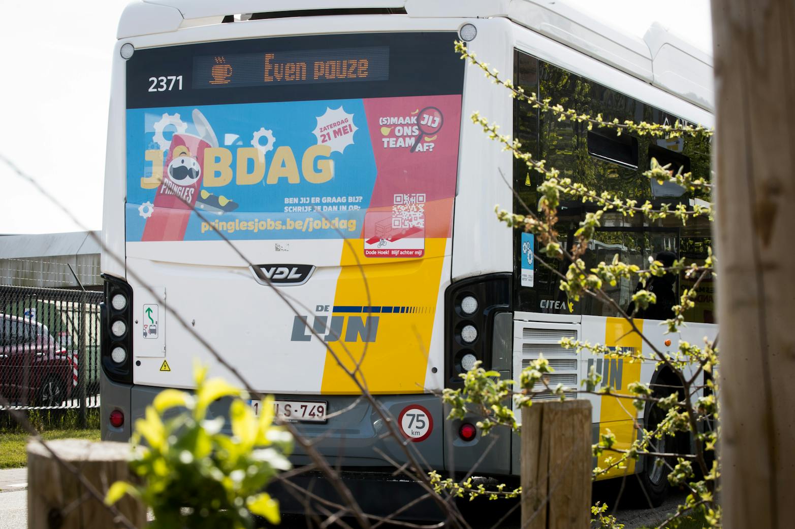 Pringles Window back 5