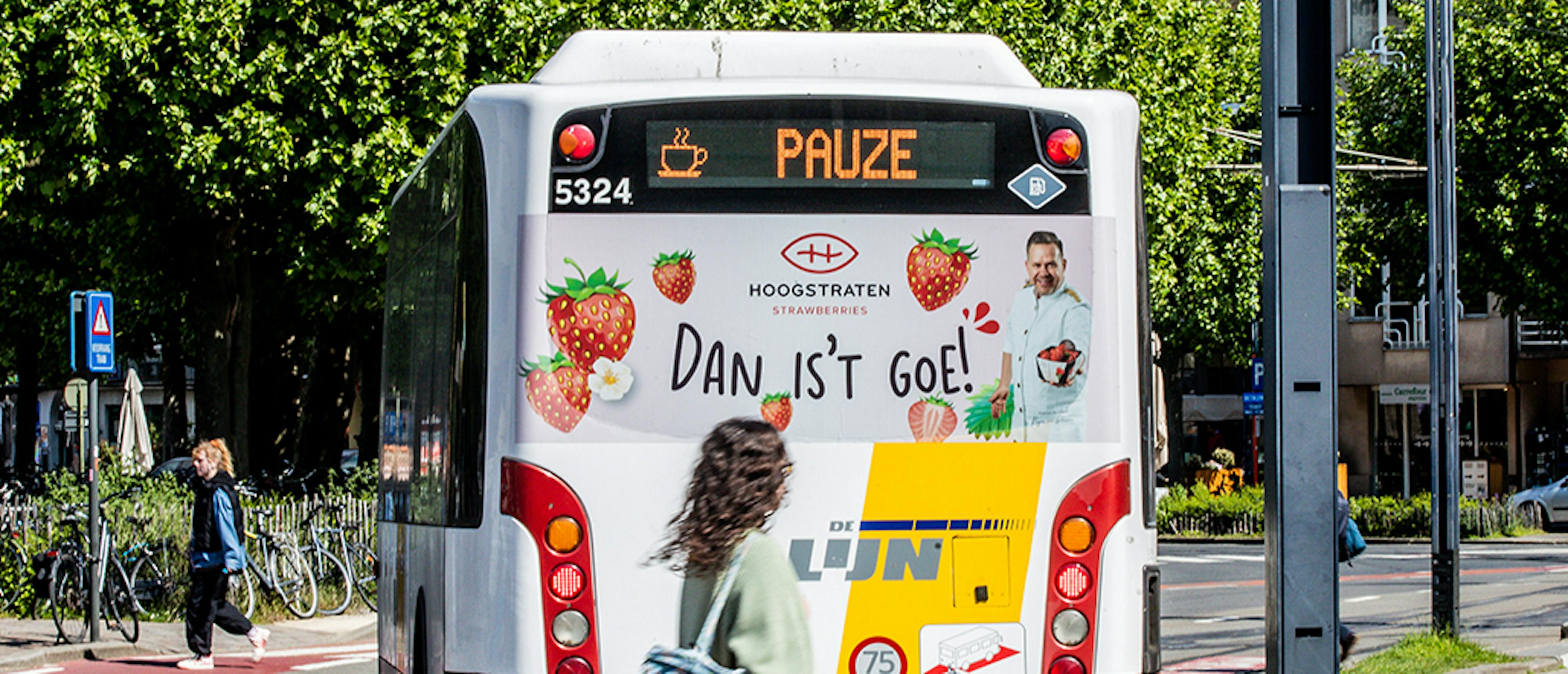 Window back Hoogstraten