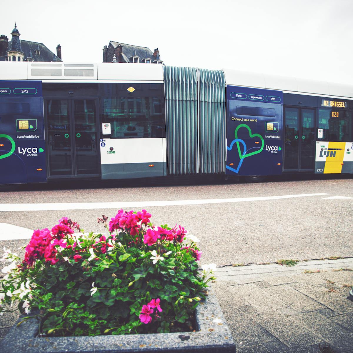 Trambus - Twin window side - Lyca Mobile